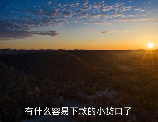 有什么容易下款的小貸口子