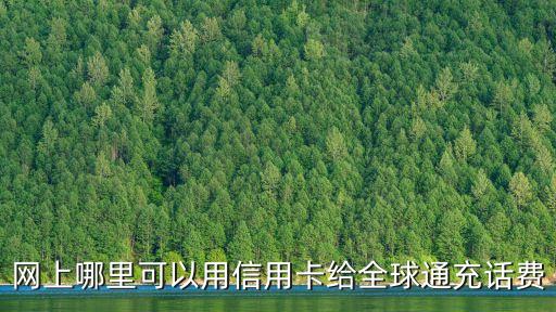 什么網(wǎng)站能信用卡充值，有哪些平臺(tái)支持信用卡充值P2P理財(cái)?shù)? /></a><a href=