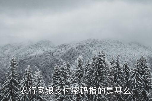 農(nóng)行網(wǎng)銀支付密碼是什么，農(nóng)業(yè)銀行個人網(wǎng)上銀行支付密碼是甚么密碼