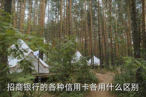 招商信用卡有什么區(qū)別，招商銀行的各種信用卡各用什么區(qū)別
