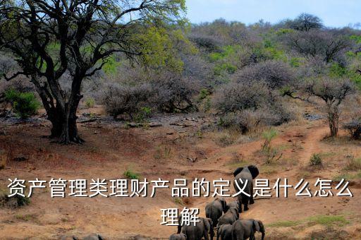 什么是資管理財(cái)產(chǎn)品，什么是基金子公司資管產(chǎn)品