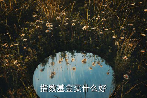 什么選指數(shù)基金，請問現(xiàn)在買什么指數(shù)基金好
