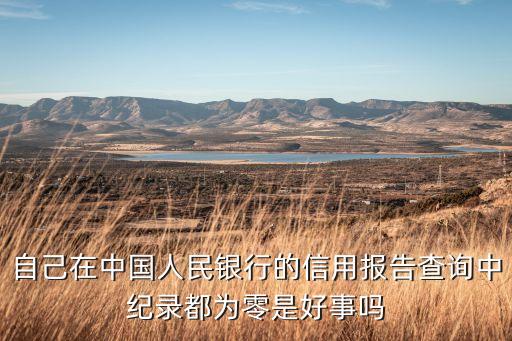 自己在中國人民銀行的信用報(bào)告查詢中紀(jì)錄都為零是好事嗎