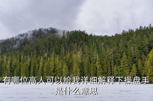 有哪位高人可以給我詳細(xì)解釋下操盤手是什么意思