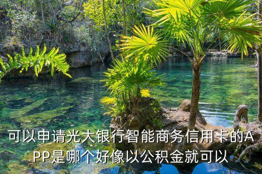 可以申請(qǐng)光大銀行智能商務(wù)信用卡的APP是哪個(gè)好像以公積金就可以