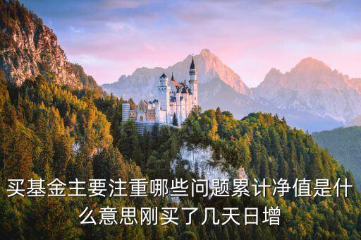 買基金主要注重哪些問題累計凈值是什么意思剛買了幾天日增