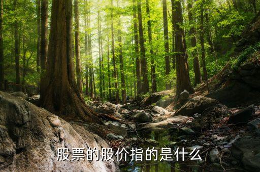 股票的價(jià)格包括什么意思，什么是股票價(jià)格