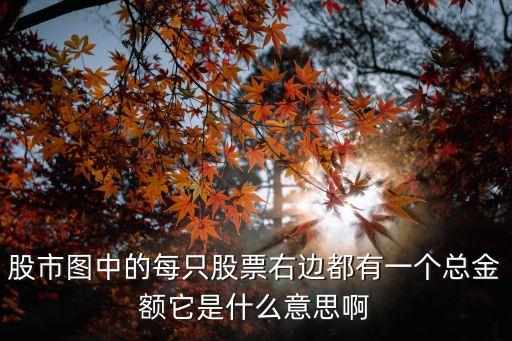 股市圖中的每只股票右邊都有一個(gè)總金額它是什么意思啊