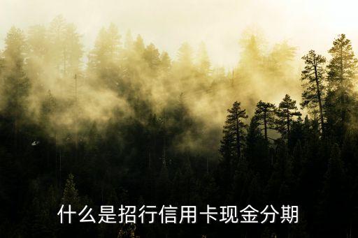 什么是招行信用卡現(xiàn)金分期