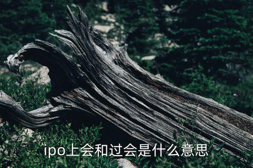ipo上會和過會是什么意思