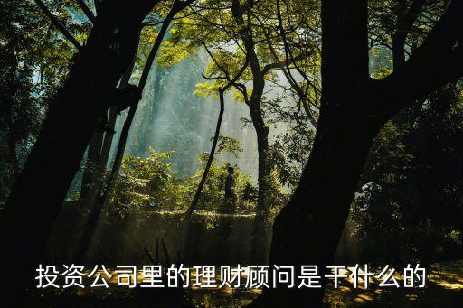投資公司里的理財(cái)顧問(wèn)是干什么的