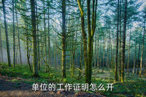 單位的工作證明怎么開
