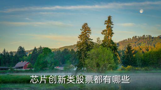 芯片創(chuàng)新類股票都有哪些