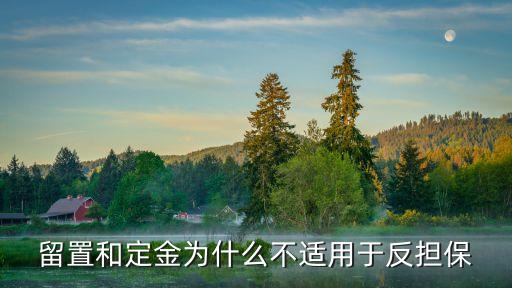 什么叫反擔(dān)保，在信貸公司 反擔(dān)保是什么意思