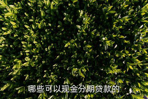 哪些可以現(xiàn)金分期貸款的