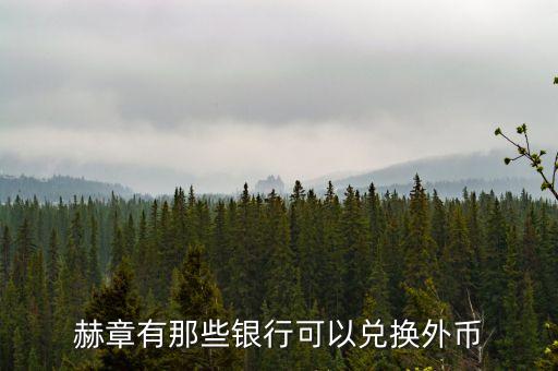 赫章有那些銀行可以兌換外幣