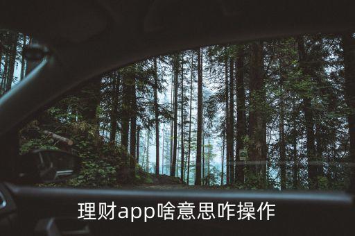 理財app啥意思咋操作