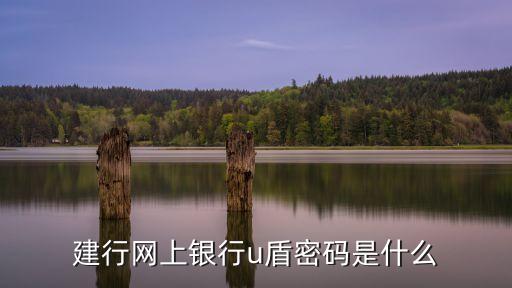 建行企業(yè)銀行u盾密碼是什么樣的，建行U盾的密碼是多少位的