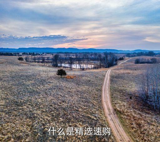 什么是精選速購