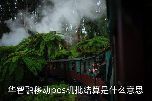 華智融移動(dòng)pos機(jī)批結(jié)算是什么意思