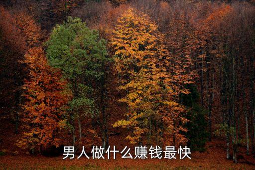 男人做什么賺錢(qián)最快