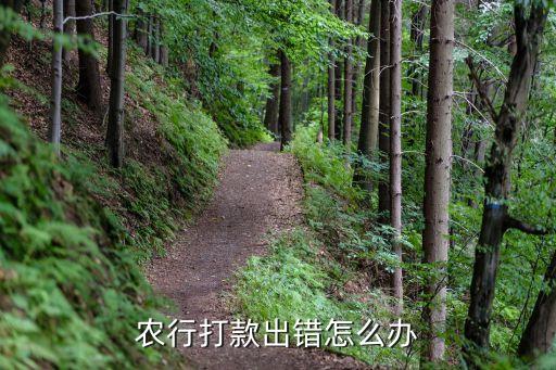 農(nóng)業(yè)銀行error怎么辦，農(nóng)行打款出錯(cuò)怎么辦