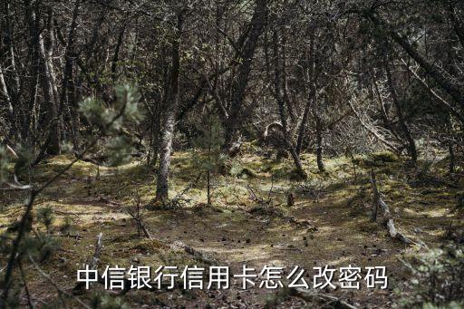 中信銀行卡怎么改密碼是什么意思，求助中信銀行信用卡怎么修改密碼