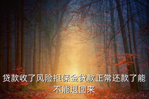 風險保證金是什么能要的回來嗎，請問我能把事故風險保證金要回來嗎
