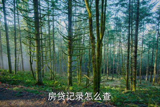 建行房e通有什么用，中國建設(shè)銀行房e通查房貸不好用么