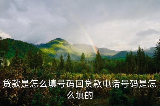 手機(jī)貸公司電話(huà)怎么填寫(xiě)，指尖貸 的那個(gè)單位座機(jī)怎么填呀