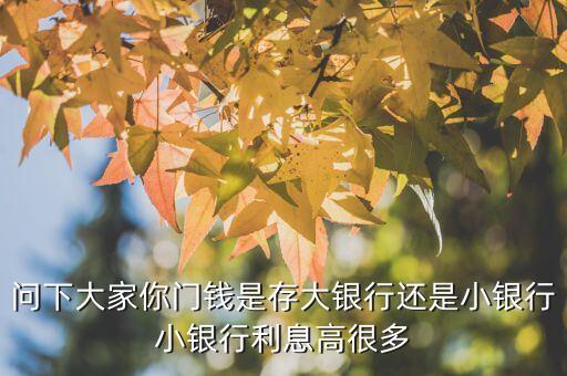 問下大家你門錢是存大銀行還是小銀行小銀行利息高很多