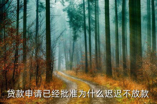 貸款申請(qǐng)已經(jīng)批準(zhǔn)為什么遲遲不放款