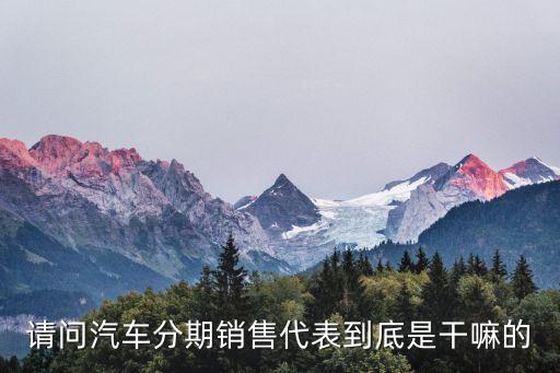 請(qǐng)問汽車分期銷售代表到底是干嘛的