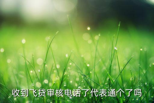 收到飛貸審核電話了代表通個(gè)了嗎