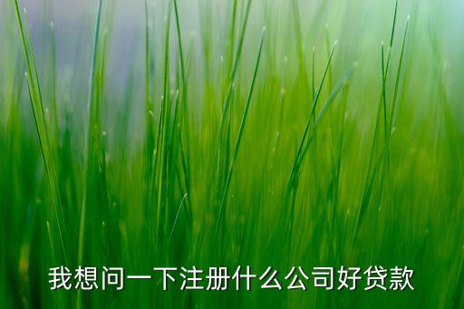 我想問(wèn)一下注冊(cè)什么公司好貸款