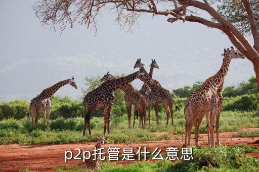 拍來貸托管是什么意思，p2p網(wǎng)貸托管是什么意思有沒有安全保障