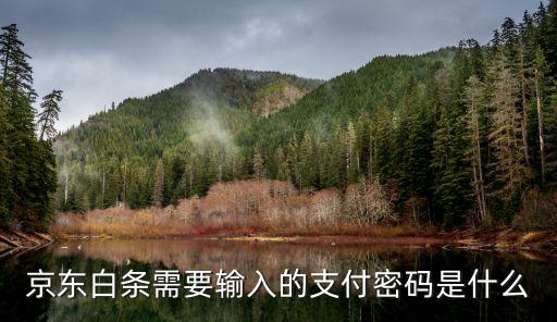 京東白條需要輸入的支付密碼是什么