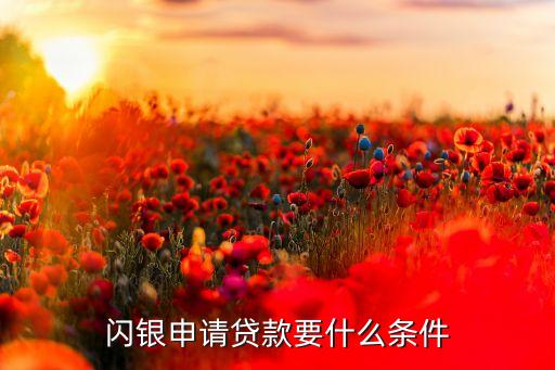 閃貸貸款需要什么條件，招行閃電貸怎么申請 有哪些貸款條件