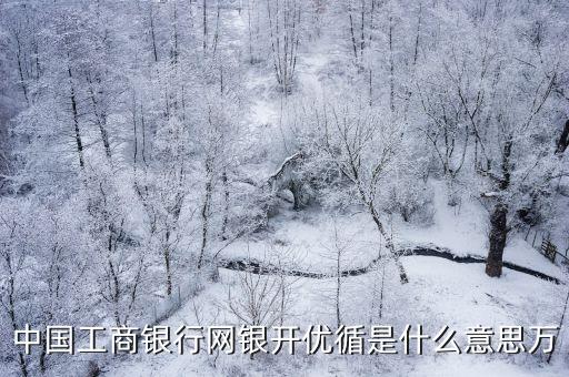 中國工商銀行網(wǎng)銀開優(yōu)循是什么意思萬