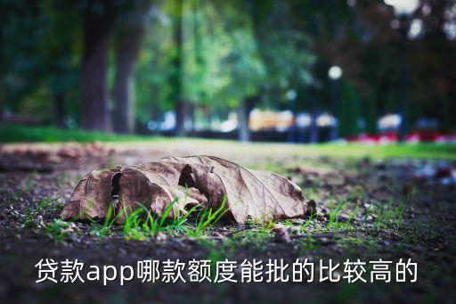 貸款app哪款額度能批的比較高的