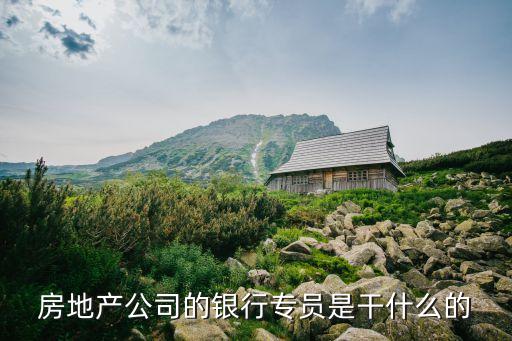 銀行專員是做什么的，房地產(chǎn)公司的銀行專員是干什么的