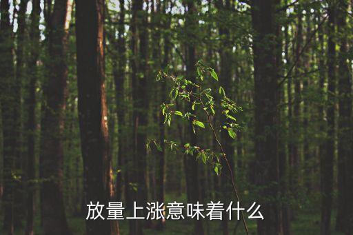 放量上漲意味著什么