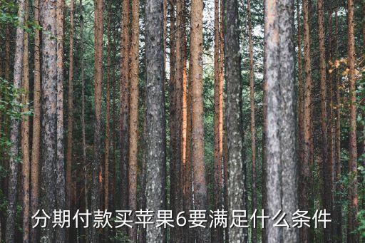 蘋果6分期付款需要什么條件，分期付款買iphone6需要什么條件