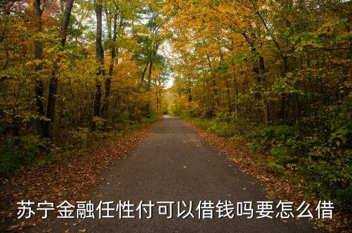 蘇寧金融任性付可以借錢嗎要怎么借