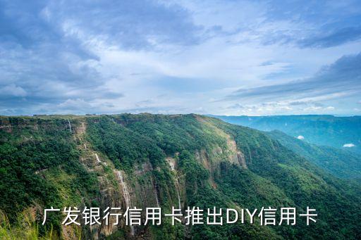 廣發(fā)銀行diy卡是什么意思，廣發(fā)旗下的diy信用卡是什么卡
