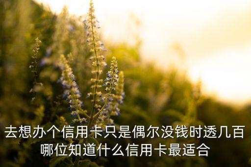去想辦個信用卡只是偶爾沒錢時透幾百哪位知道什么信用卡最適合