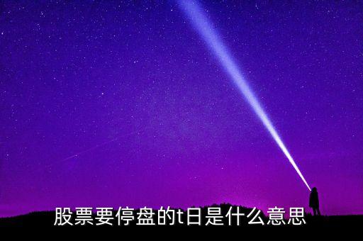 t日股市中什么意思啊，股票要停盤的t日是什么意思