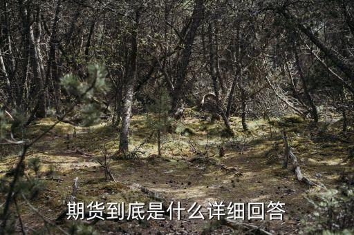 期貨到底是什么詳細(xì)回答