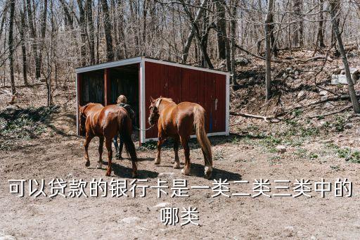 貸款公司放款是什么卡，車貸和房貸都是用的什么類型的卡貸款還上卡能透支嗎