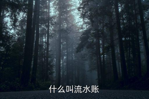 什么是流水賬，什么叫流水賬